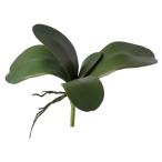  искусственный цветок viva прикладное искусство VEG-5168kochou Ran leaf L VEG5168 искусственный цветок лист предмет, искусственная зелень другой искусственный цветок зеленый 