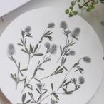  день ограничение 10 dry m flowers засушенный цветок tolifonium12 колесо сухой цветок материалы для цветочной композиции засушенный цветок 