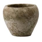 ミュールミル ジャン�