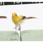 bidaya com маленький bird желтый F3634-004Y цветок pick животное бабочка pick 