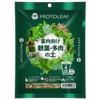  Pro to leaf салон предназначенный . лист много мясной земля 4 номер горшок для 0.6L садоводство садоводство сопутствующие товары садоводство для земля для земля, cубстрат 