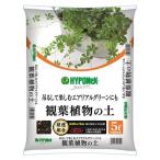  высокий po шея s Japan высокий po шея s декоративное растение для cубстрат легкий и хорошо .. декоративное растение. земля 5L садоводство садоводство сопутствующие товары садоводство для земля для земля, cубстрат 