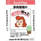  солнечный and Hope Kansai суккулентное растение .mo Limo li.. земля 5L садоводство садоводство сопутствующие товары садоводство для земля для земля, cубстрат 