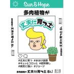  солнечный and Hope Kansai суккулентное растение . крепкий ... земля 5L садоводство садоводство сопутствующие товары садоводство для земля для земля, cубстрат 