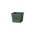  день ограничение 07 Hachiman .. eko pot прямоугольник 120 GR 237440 садоводство садоводство сопутствующие товары цветочный горшок цветок pot eko pot горшок 
