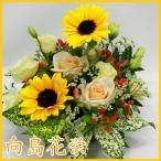 ひまわりの明るい感じのアレンジメント　お誕生日　記念日　お祝い