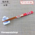 お箸子ども用食洗器対応パンダレッド...