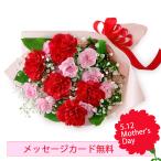 ショッピングカーネーション 母の日の花束 花キューピット かわいいカーネーションのブーケ フラワーギフト プレゼント 花 − 521350 生花 宅配