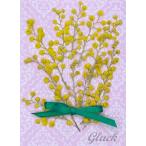 コンパクト 押し花 ミモザ　少量をパックにしてお届け！ 押し花　ハンドメイド