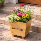 [ бесплатная доставка ( часть регион за исключением )] сезон. .... ручная работа дерево pot ( квадратное ) местного производства криптомерия использование 5~6 видов . цветок упаковка не возможно 