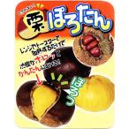 ������������ �I �c�� �y�ۂ낽�� �m�o�^�i��n�z 1�N�� �ڂ��� �|�b�g�c �i�j�[�����ܕt���j ���k�C���E����͑��������K�p�O�ł��B