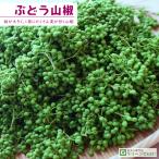 ■優良2年生大苗■山椒苗特上2年生...