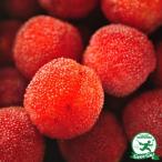 送料無料ヤマモモ1年生接ぎ木苗※北...