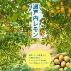 ショッピングレモン ◆送料無料◆ レモン 苗木 【瀬戸内レモン】 1年生 接ぎ木苗 （ニーム小袋付き） ※北海道・沖縄は送料無料適用外です。