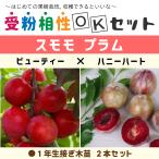 商品画像2