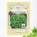有機種子 エンダイブ(広葉エンダイブ) 