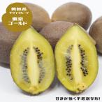 キウイ 苗 東京ゴールド 黄色系メス