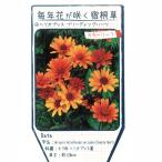 �w���I�v�V�X �u���[�f�B���O�n�[�c 3���|�b�g�c