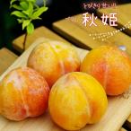 すもも苗木秋姫2年生接木苗スリット...