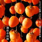 柿の苗木 選抜市田柿 渋柿 1年生接木苗