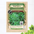  иметь машина семена winter сабо Lee S размер 0.1g( примерно 210 шарик ) вид . время 4~6 месяц,9~10 месяц . покупка week