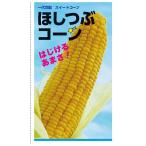  сладкий кукуруза .... кукуруза вид * маленький пакет (13ml) F1( один плата . распределение вид )
