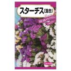 スターチス 種・小袋 （0.1ml） 固定種 爆買いweek