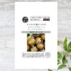 有機種子 タマネギ/黄タマネギ/ラインスブルハー S 1.2ｇ 種蒔時期 9〜10月 爆買いweek