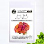 有機種子 ジニア/百日草/ミックスカラー S 12粒 種蒔
