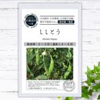 有機種子 ししとう S 40粒 種蒔時期 春まき 爆買いweek
