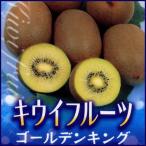 キウイフルーツ苗木(メス)　ゴール