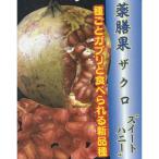 商品画像2
