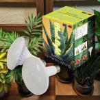  растения выращивание LED LPL серии LPL15WP калибр E26 растения культивирование свет ( лампа только )