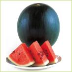  предварительный заказ распродажа запад .( арбуз ) Таити. рассада ( контактный дерево рассада )