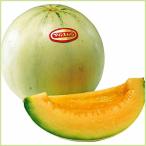  предварительный заказ распродажа дыня Prince. рассада ( контактный дерево рассада )