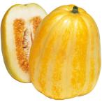  предварительный заказ распродажа mak wow li[ серебряный Izumi ]. рассада 