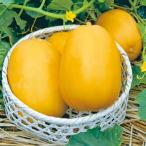  предварительный заказ распродажа mak wow li[ желтый .]. рассада ( контактный дерево рассада )