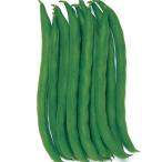  предварительный заказ распродажа .. нет фасоль обыкновенная satsuki ...2 номер. рассада (3 рассада комплект )