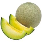  предварительный заказ распродажа дыня хлеб naTF. рассада ( контактный дерево рассада )