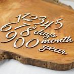 数字レターバナー15枚セット 毎日・毎月・毎年使える 1ヶ月 100日 ハーフバースデー 誕生日バースデーフォト 木製 おしゃれ かわいい lb0004