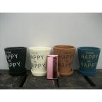 [ наличие распродажа!!][ тонкий вкус длинный pot ] дыра есть * тарелка имеется 