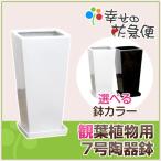 ショッピング陶器 7号角高陶器鉢(白・黒) A-029【用土別売】送料無料 観葉植物 植木鉢 植え替え