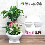 商品画像2