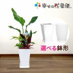 商品画像2