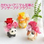アニマル花器とプリザーブドフラワー プレゼント 花 ギフト 誕生日 5月 母の日 猫好き 犬好き 三毛猫 猫 柴犬 パンダ 還暦 古希 喜寿 米寿 傘寿 女性 送別