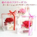  preserved flower Mother's Day flower carnation arrangement gift present delay .....60 fee 70 fee 80 fee red pink .. pink one wheel carnation 
