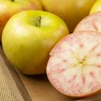  яблоко фруктовое дерево саженец яблоко rose жемчуг PVP 1 год сырой . дерево 4.5 номер ( диаметр 13.5cm) pot .. листопадные растения растение в горшке 