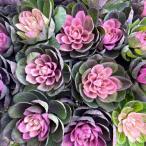  лист ..( - кнопка ).(....) 3.5 номер ( диаметр 10.5cm) pot рассада 1 АО .... зима вход Новый год 