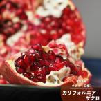  гранат цветок фруктовое дерево саженец California ...1 год сырой .. дерево 4.5 номер диаметр 13.5cm pot листопадные растения камень ... садовое дерево популярный рекомендация 