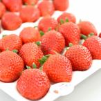  клубника ....(.... клубника ) 5 номер горшок клубника рассада 